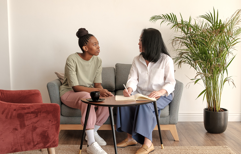 Behaviour support consultation with client and behaviour support practitioner